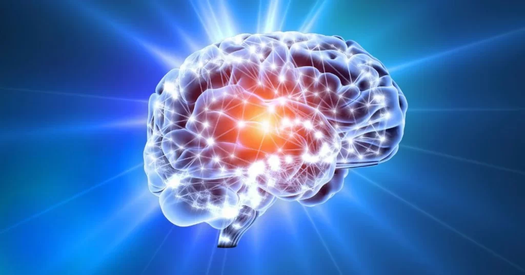 A glowing brain focusing on the limbic system